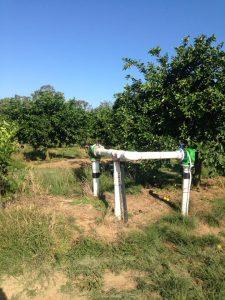 Drip irrigation Orchard